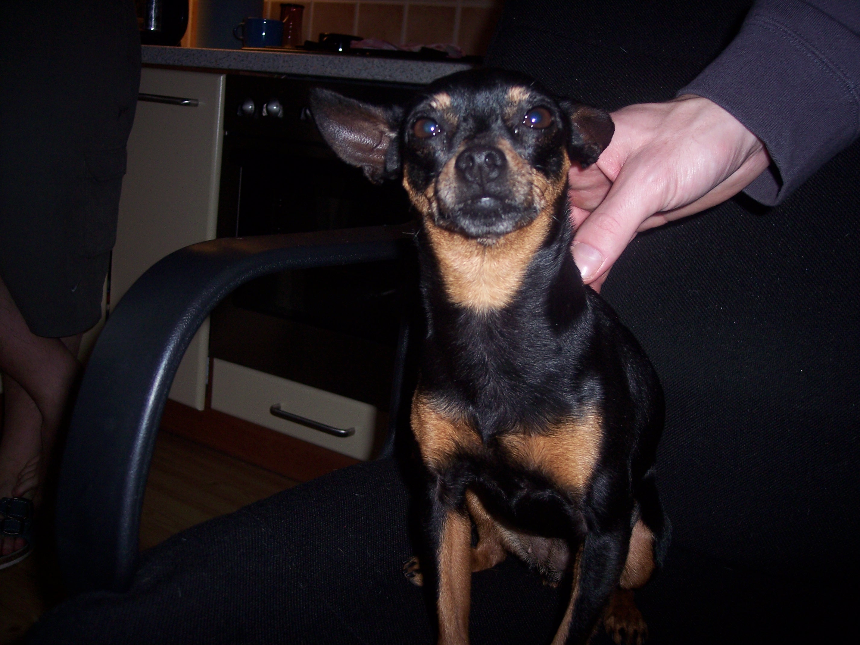 25.2.2008 085.jpg