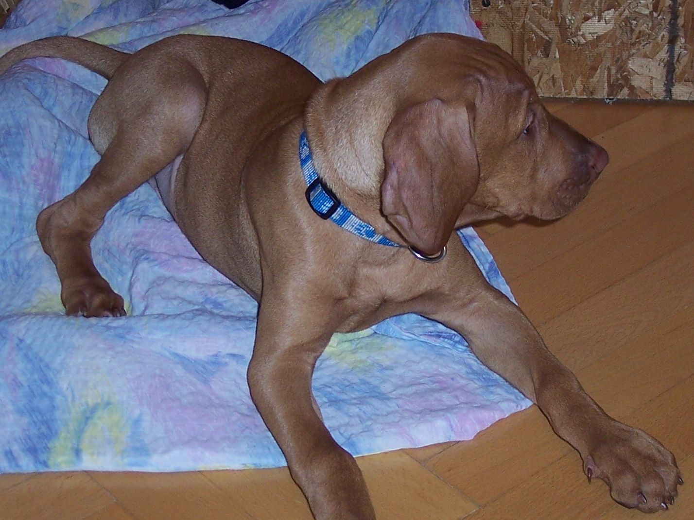 100_7642.JPG
