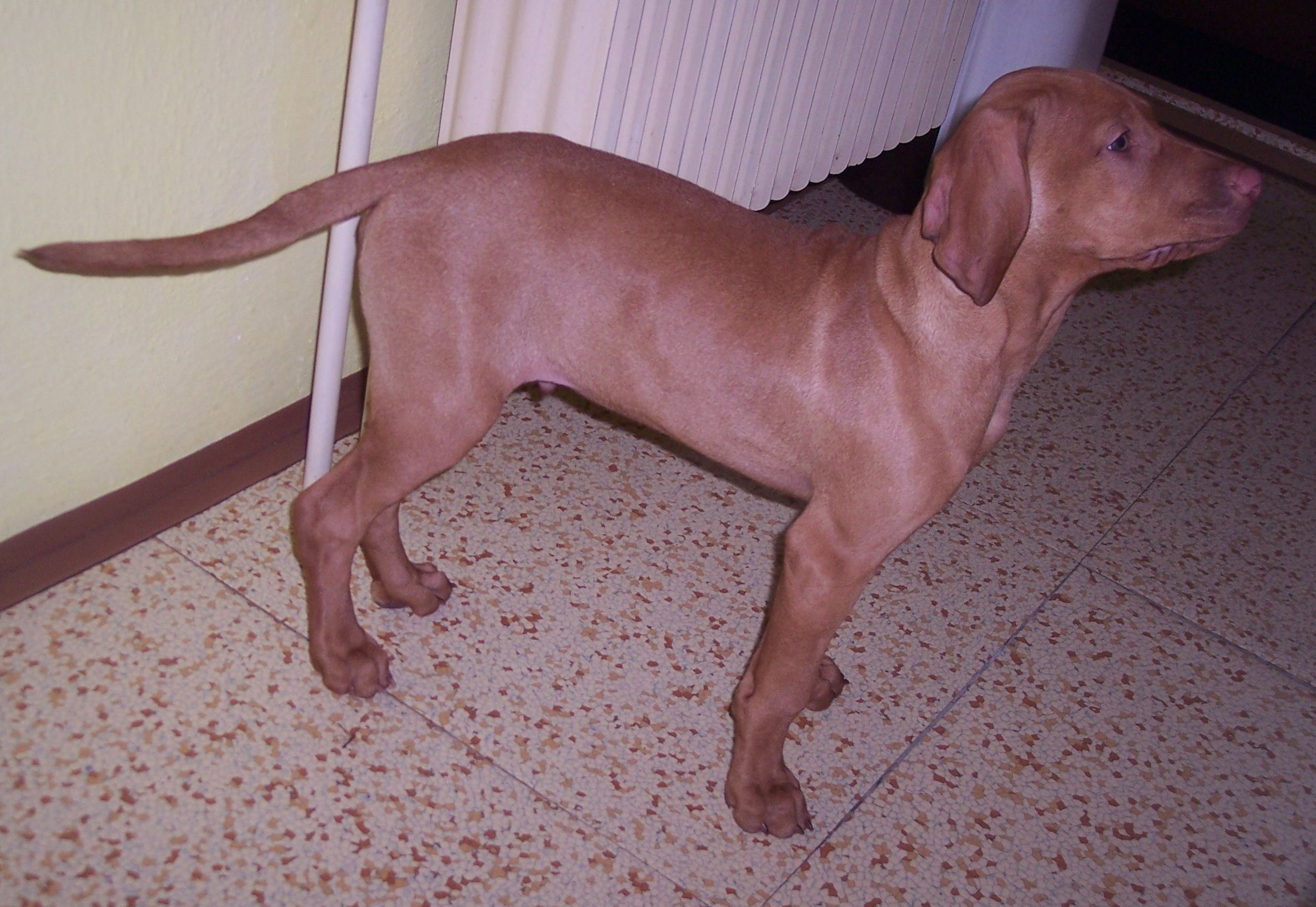 100_7664.JPG