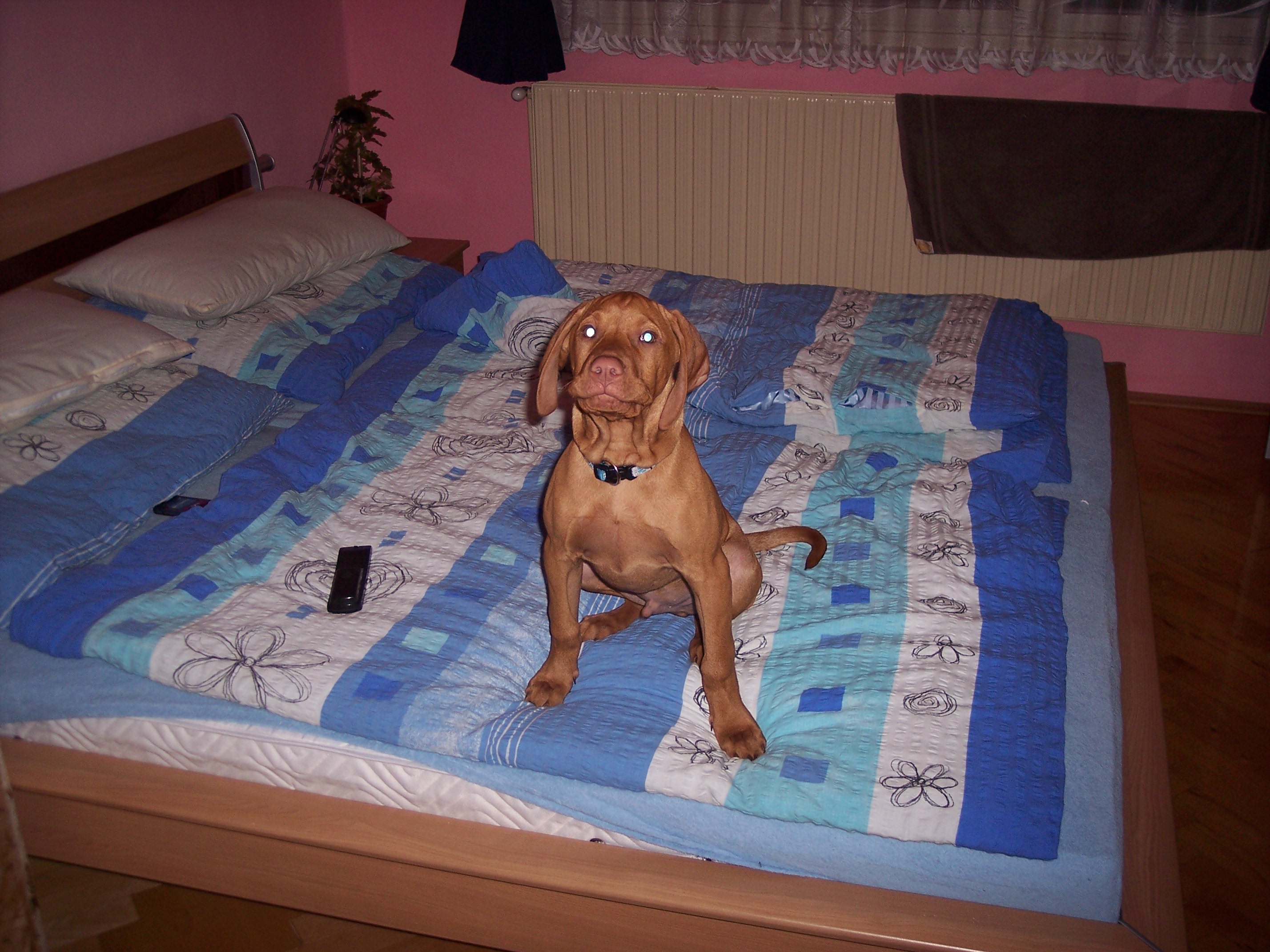 100_7681.JPG