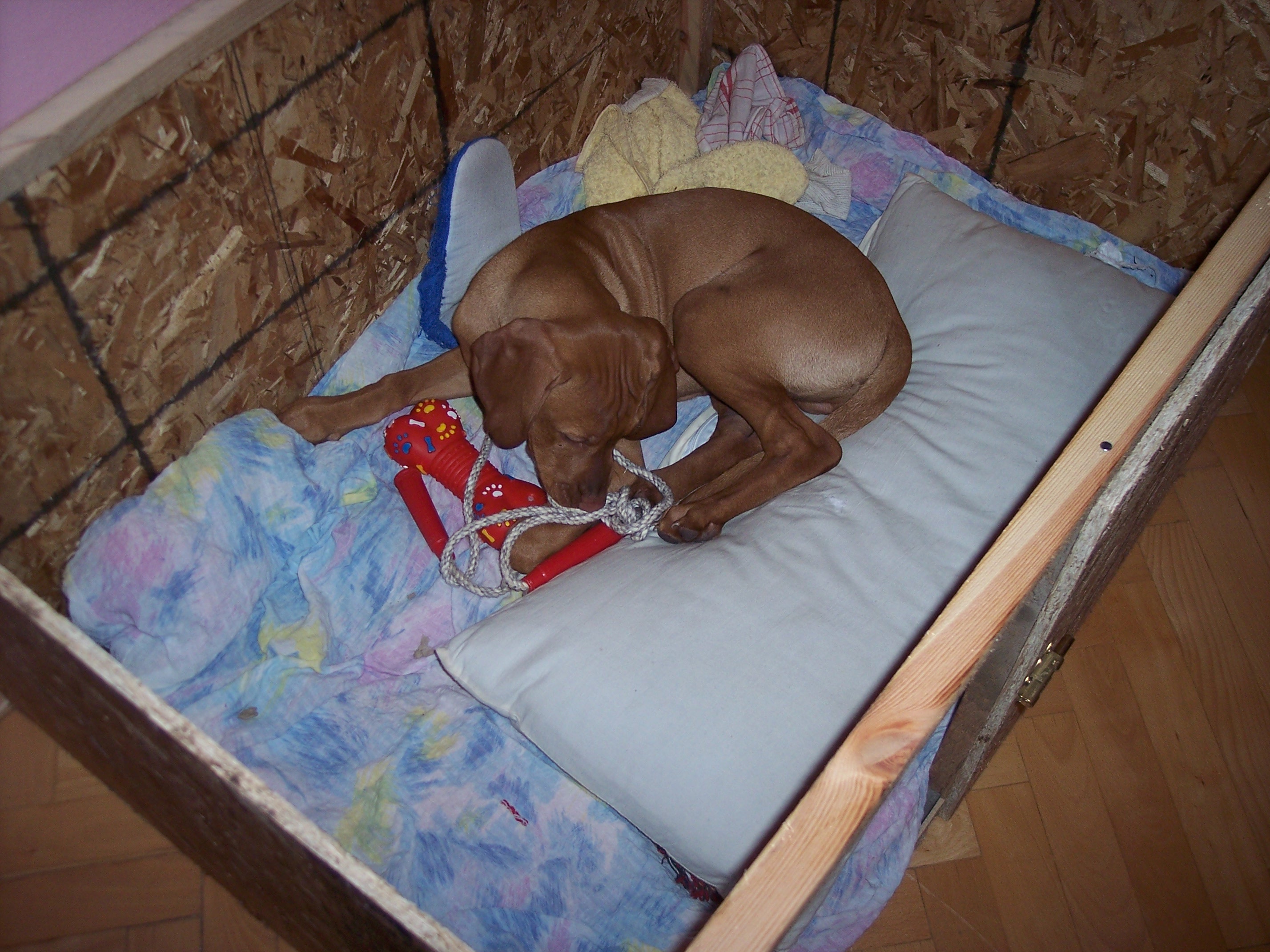100_7683.JPG