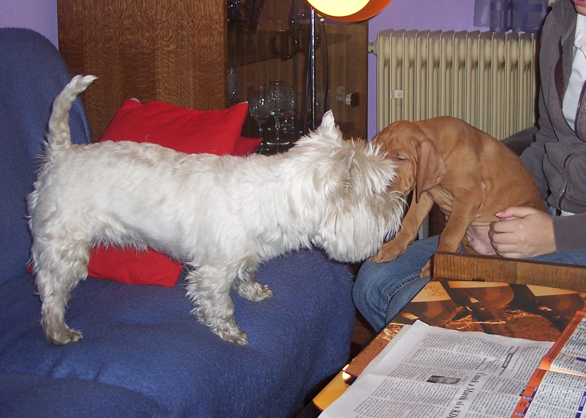 100_7469.JPG
