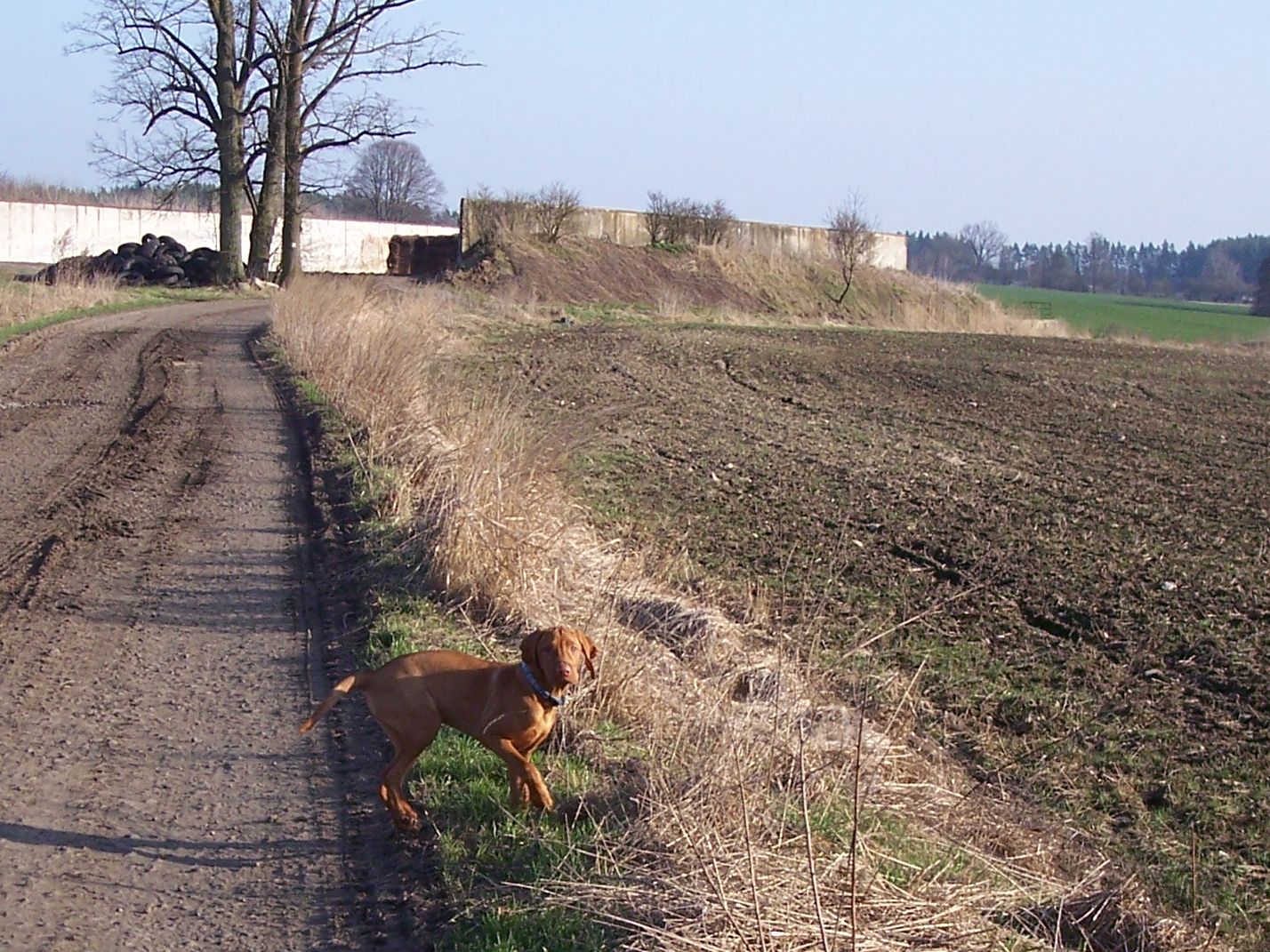 100_7718.JPG