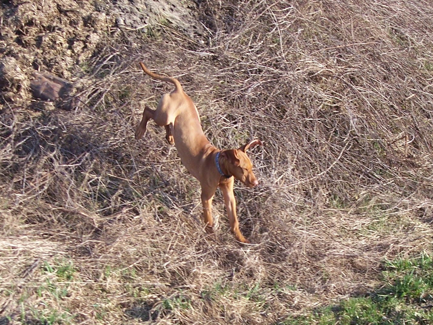 100_7719.JPG