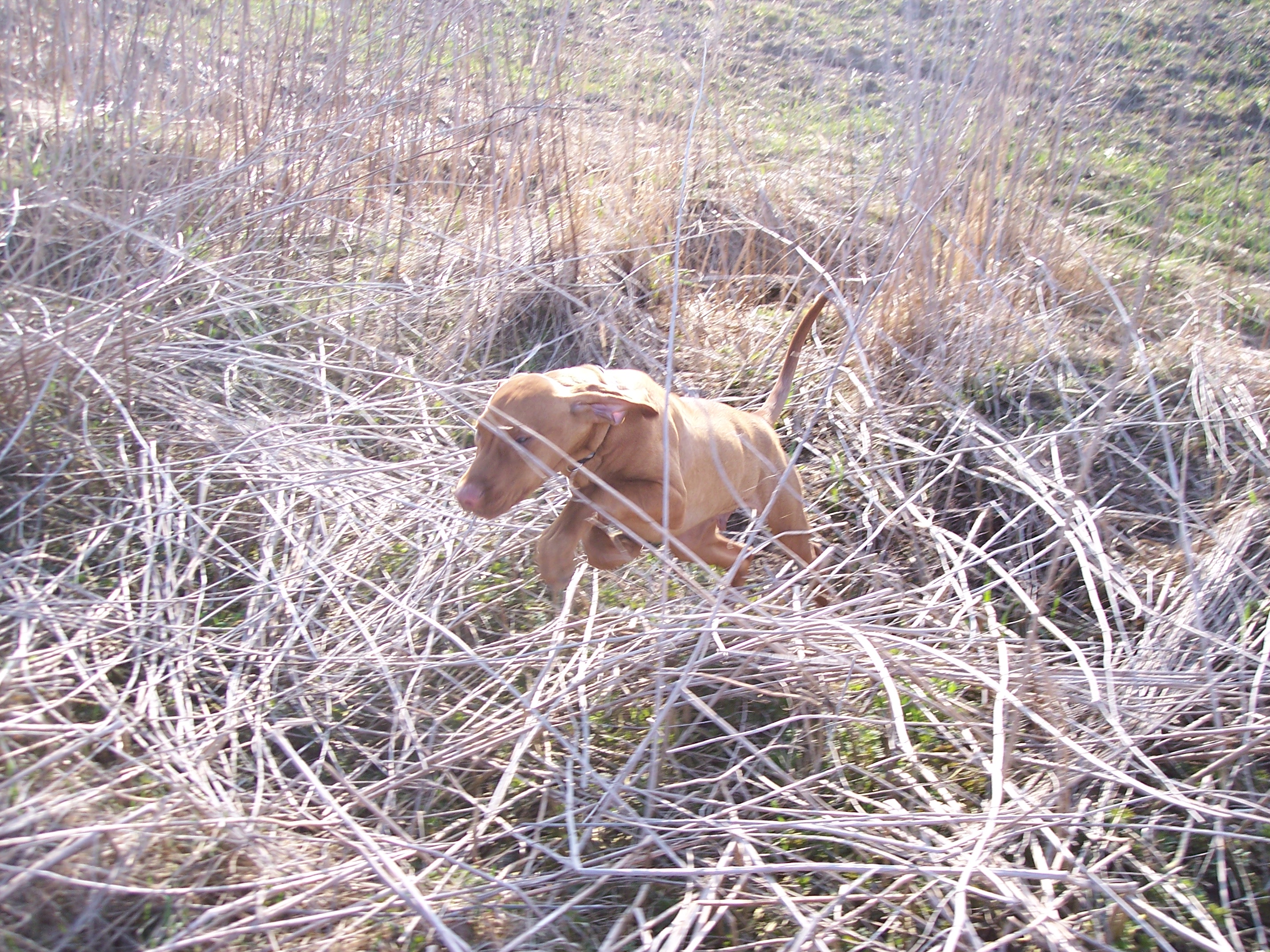 100_7723.JPG