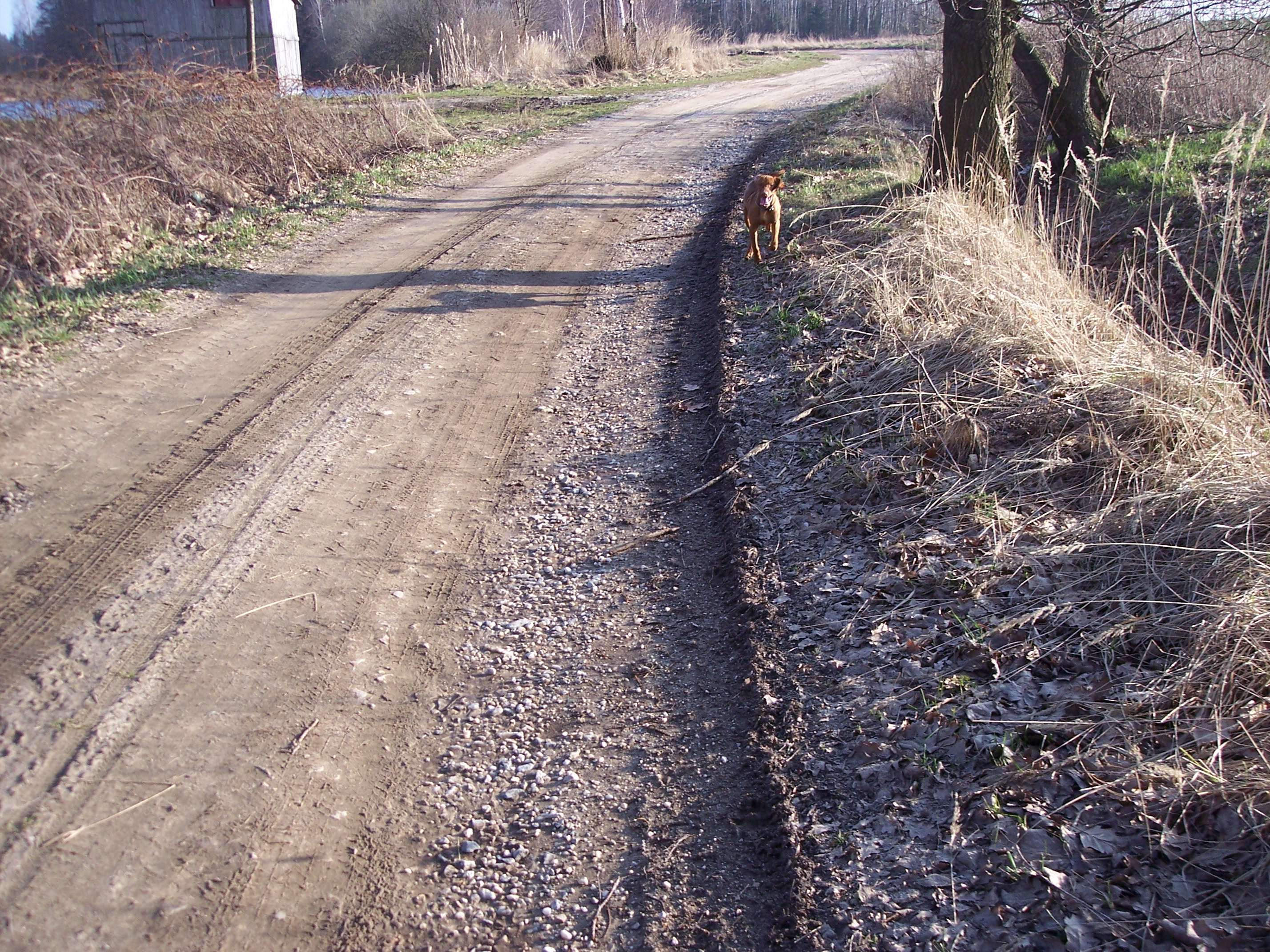 100_7728.JPG