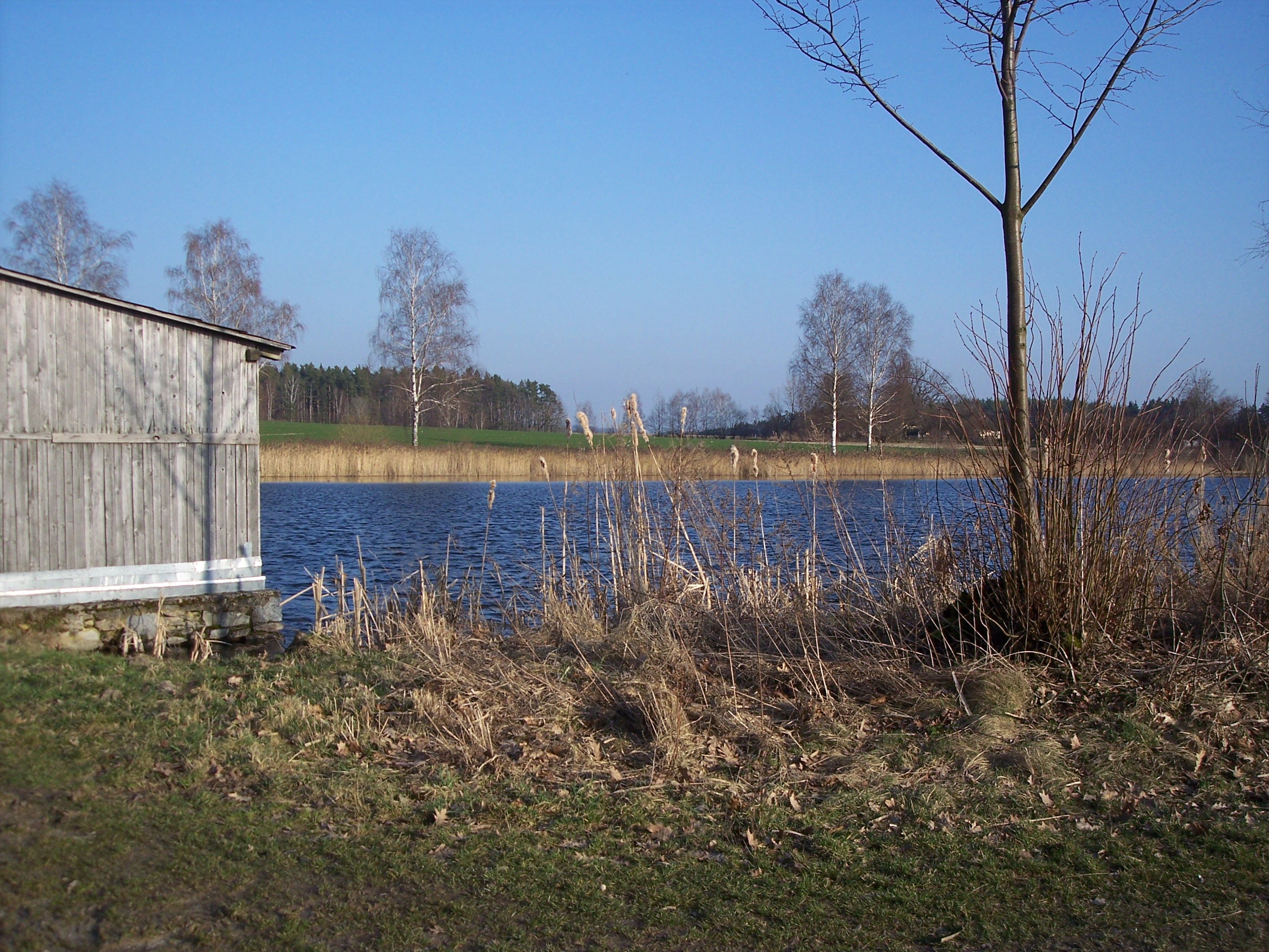 100_7730.JPG