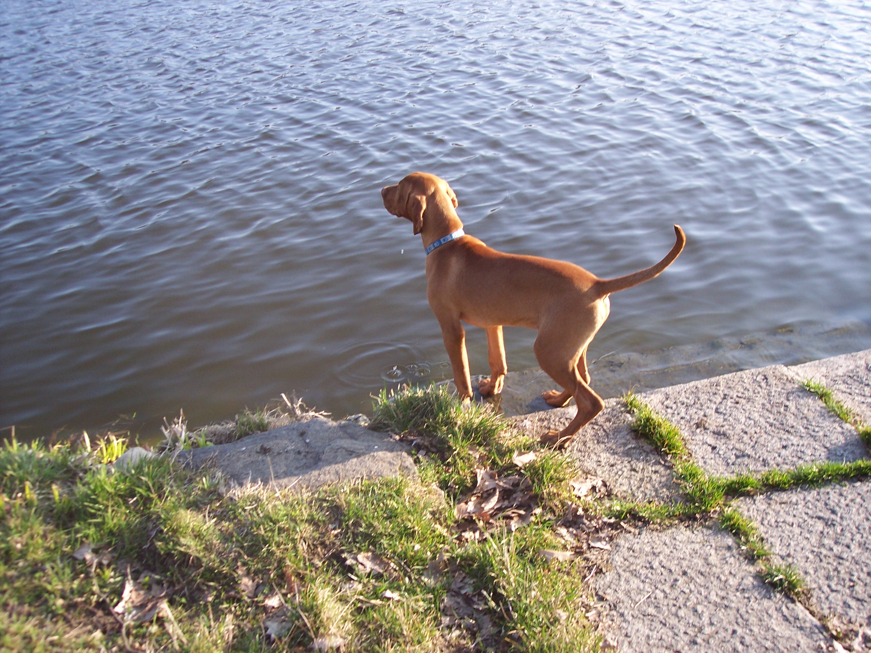 100_7737.JPG