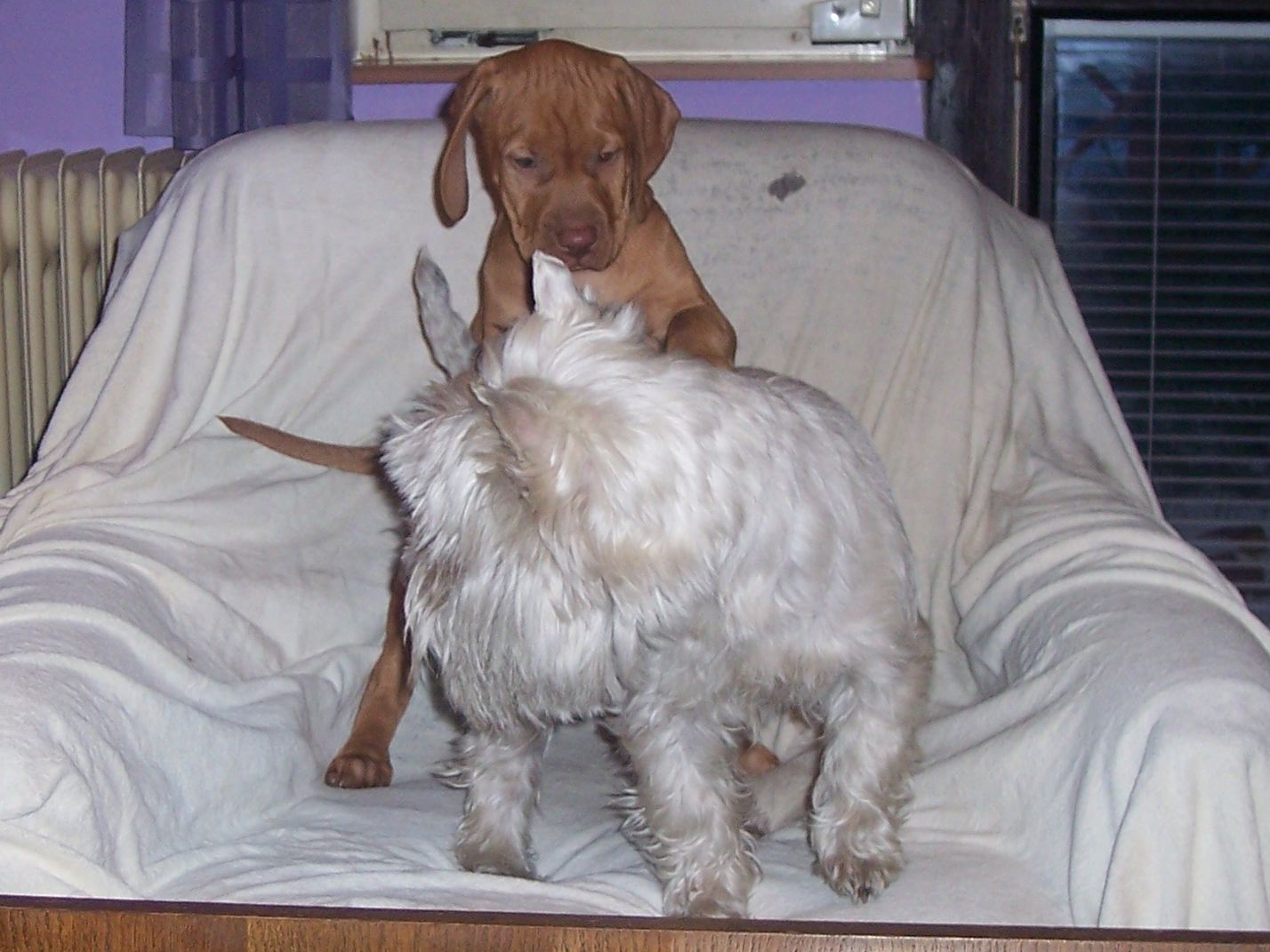 100_7482.JPG
