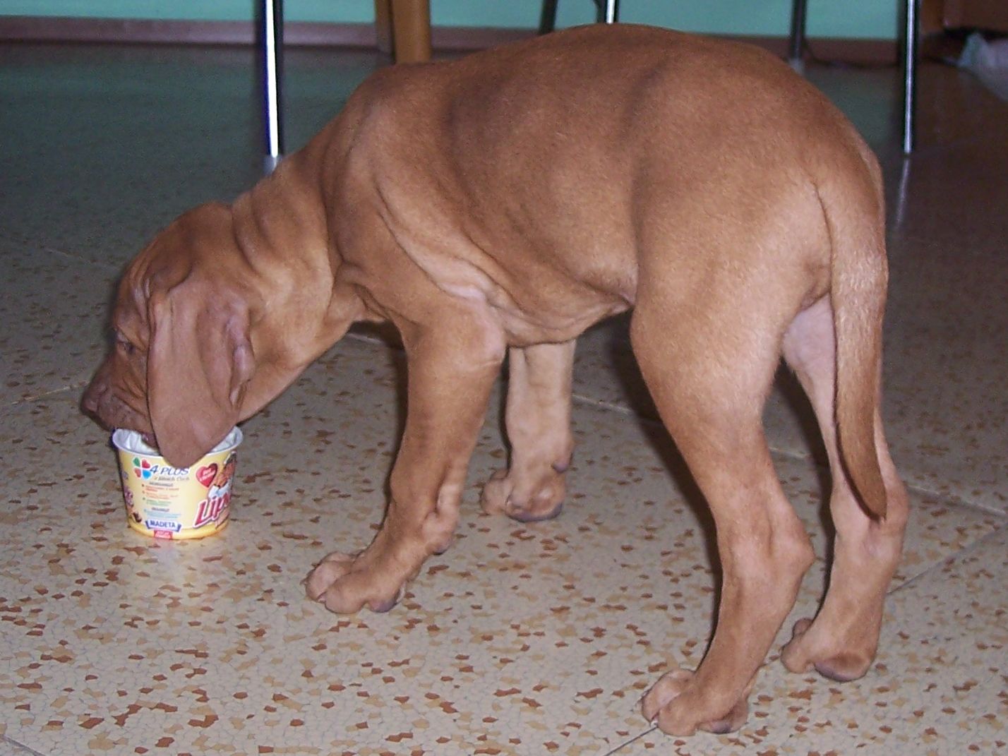 100_7486.JPG