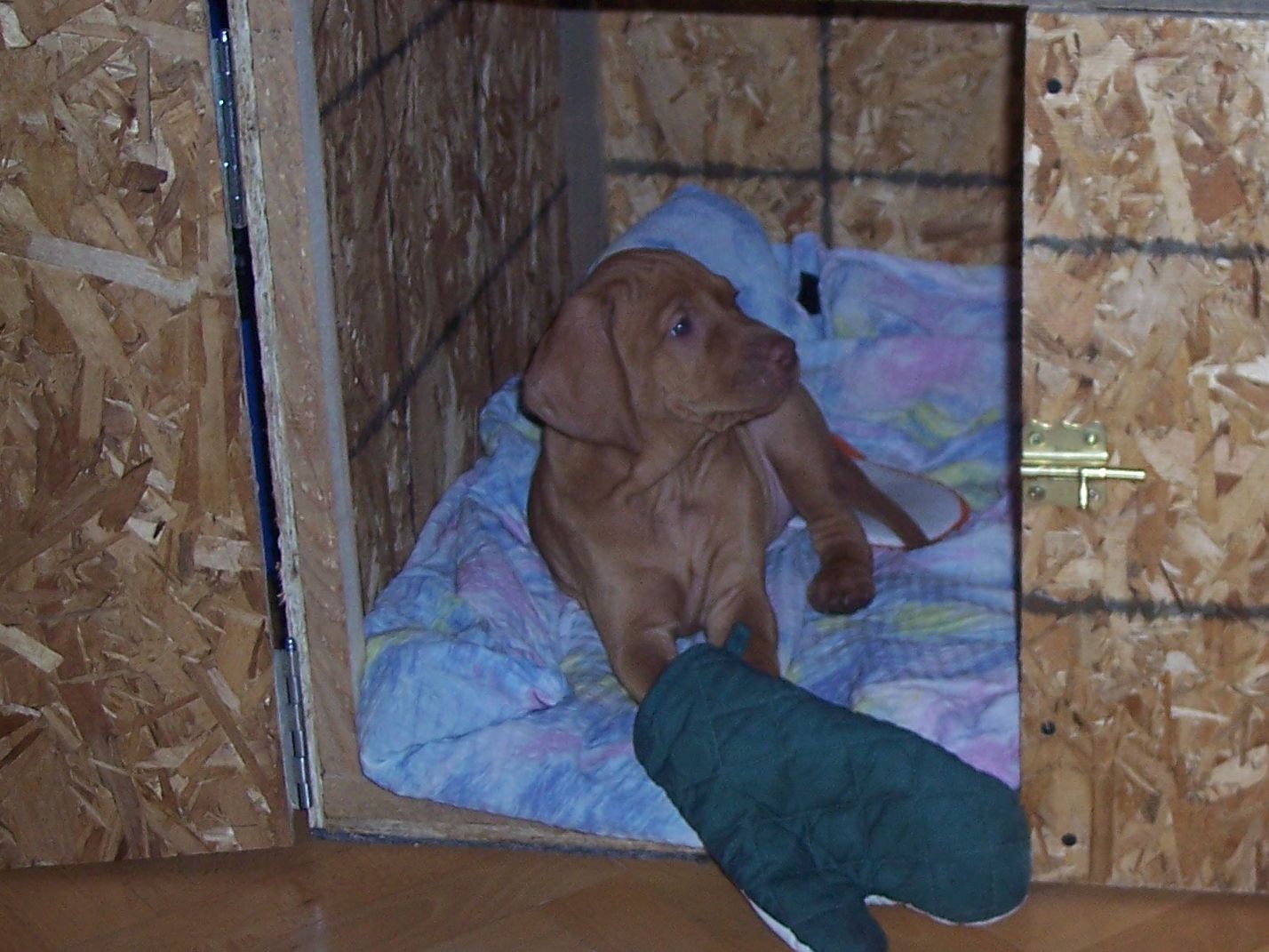 100_7489.JPG