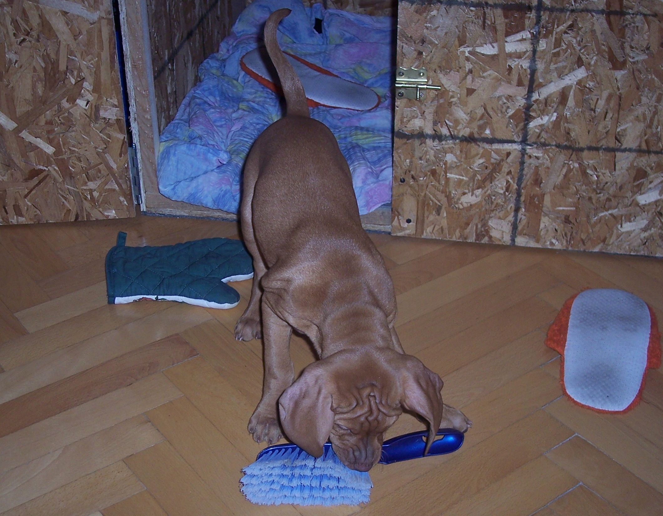 100_7490.JPG