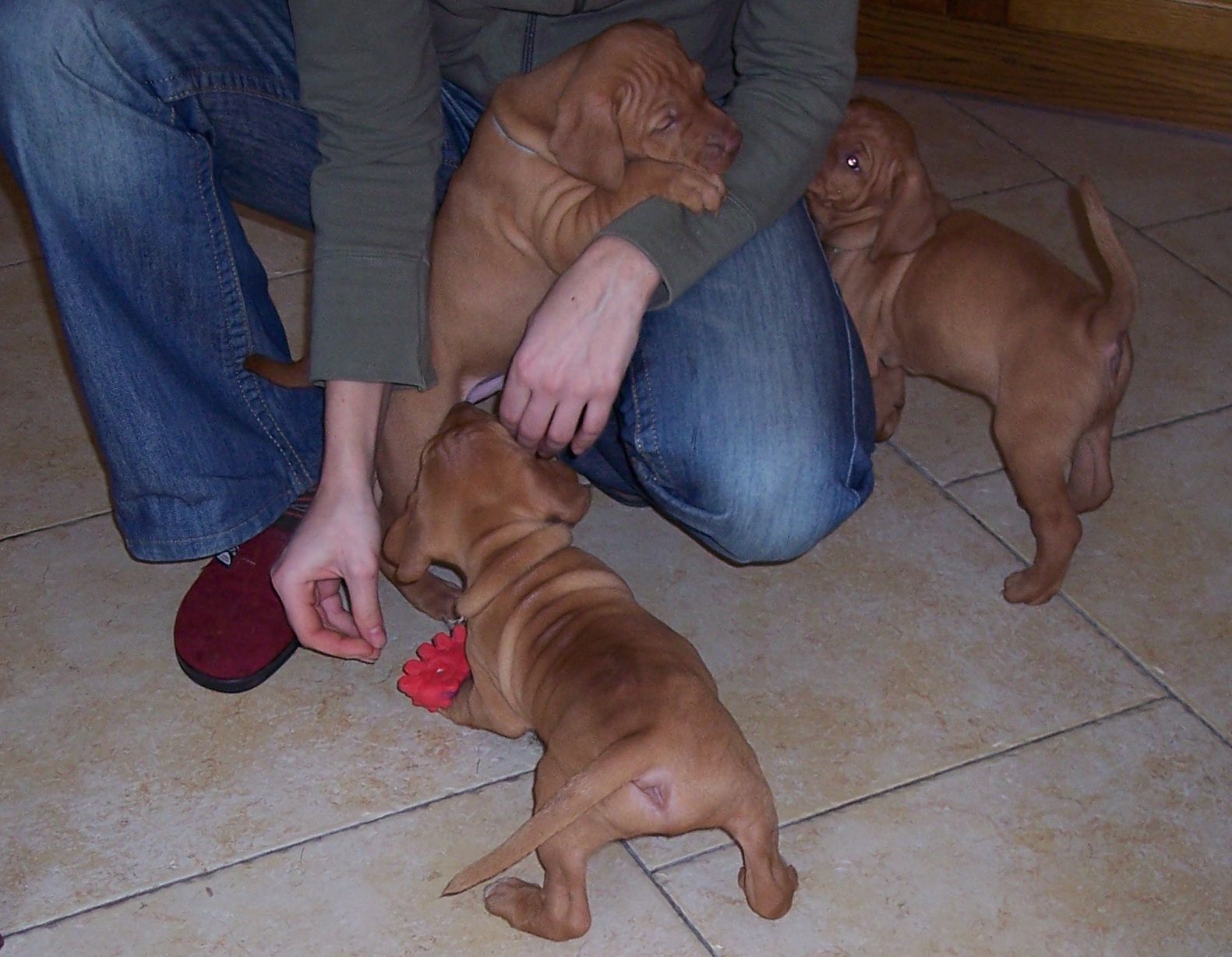 100_7451.JPG