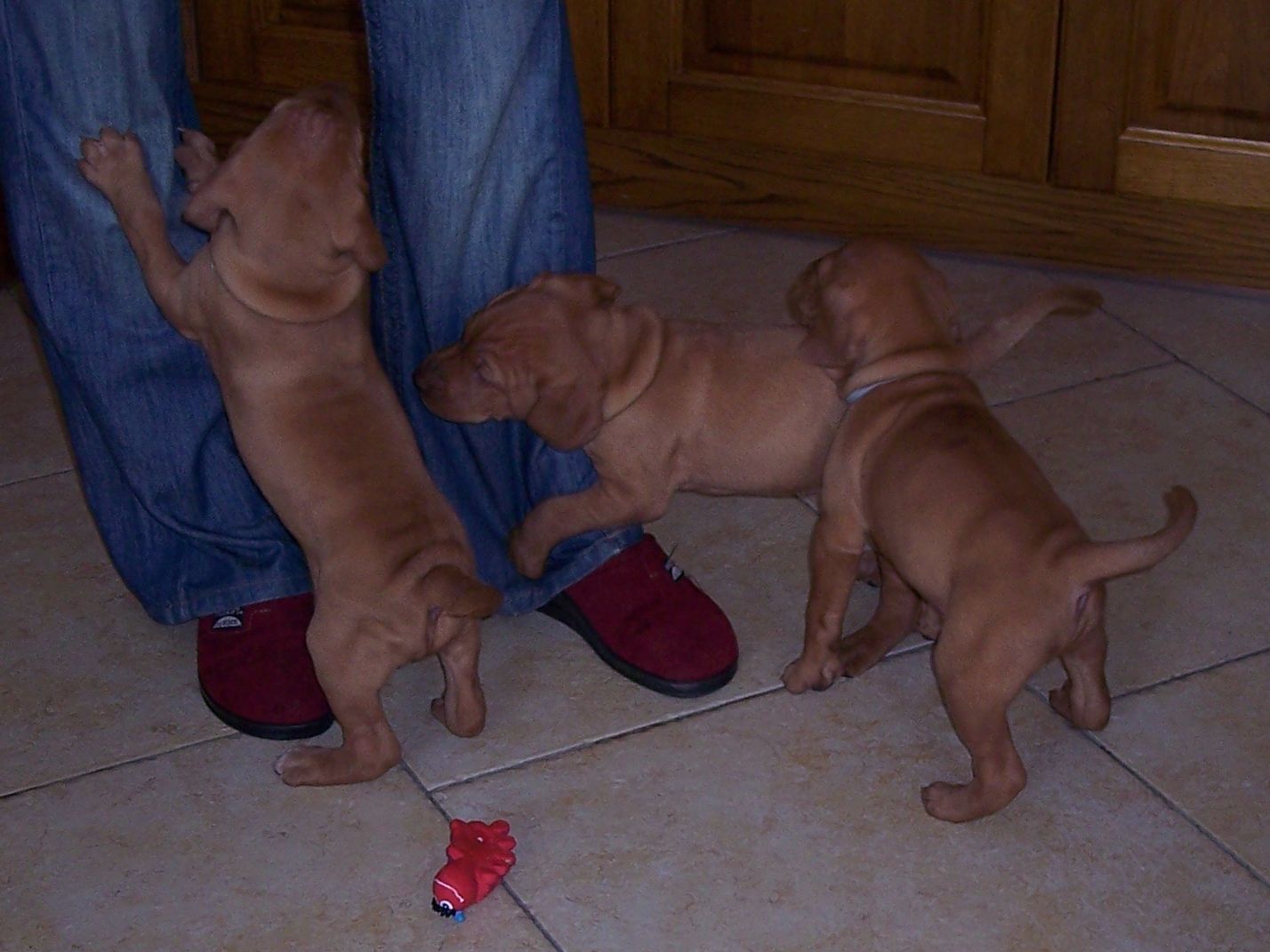 100_7452.JPG