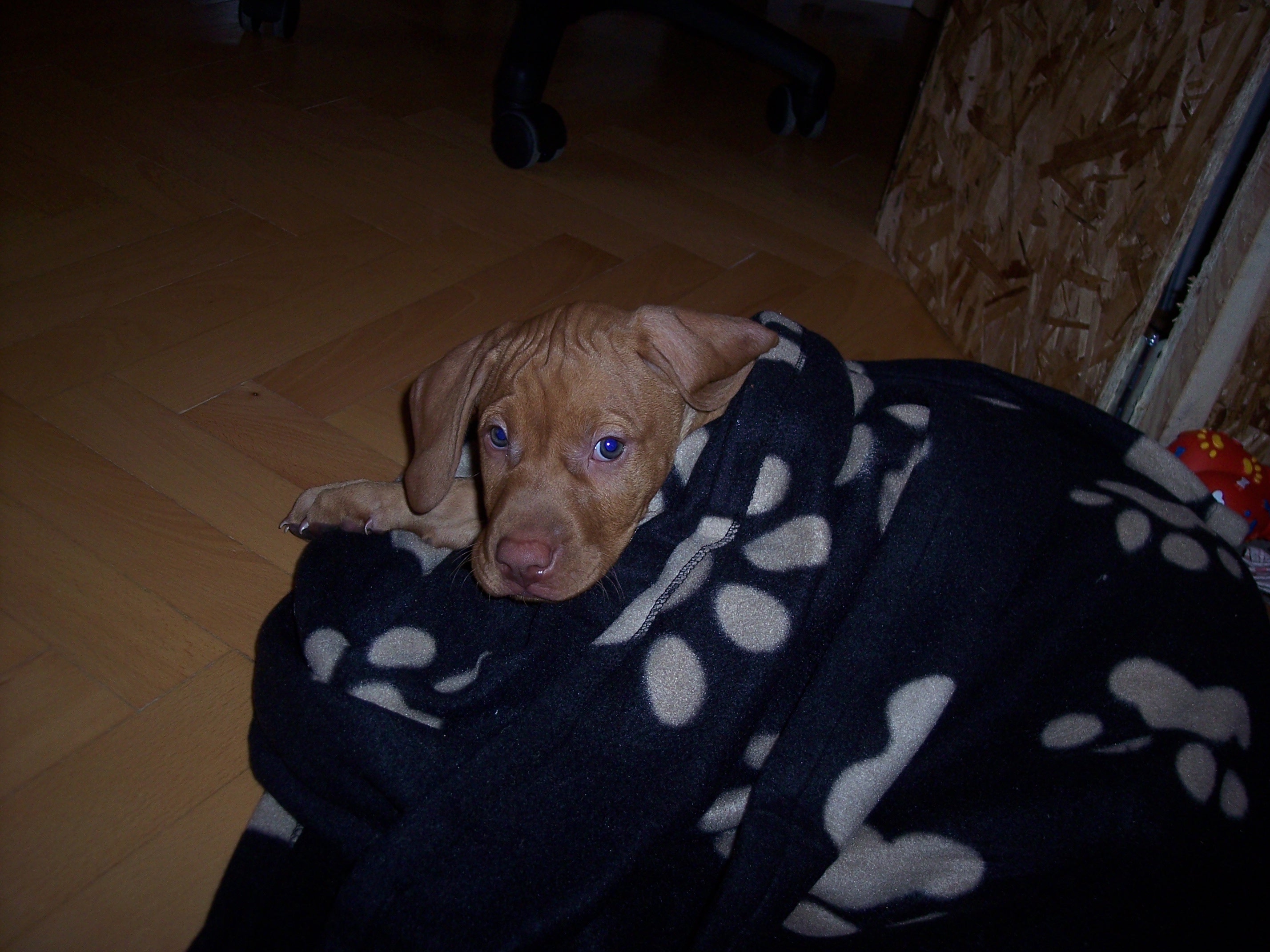 100_7507.JPG