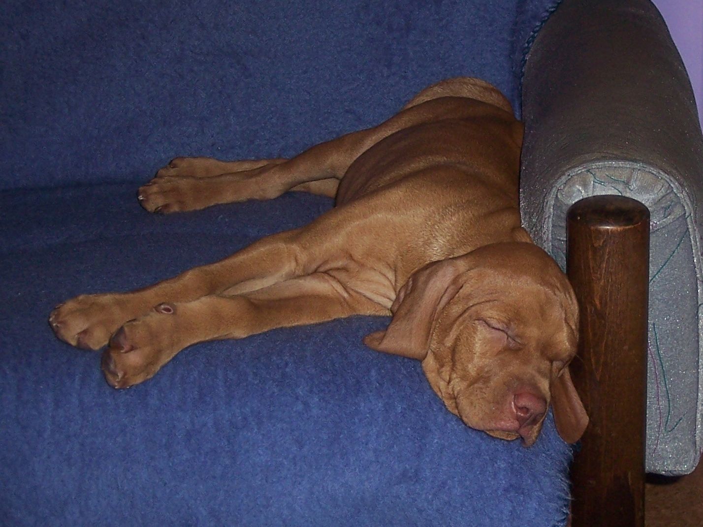 100_7557.JPG