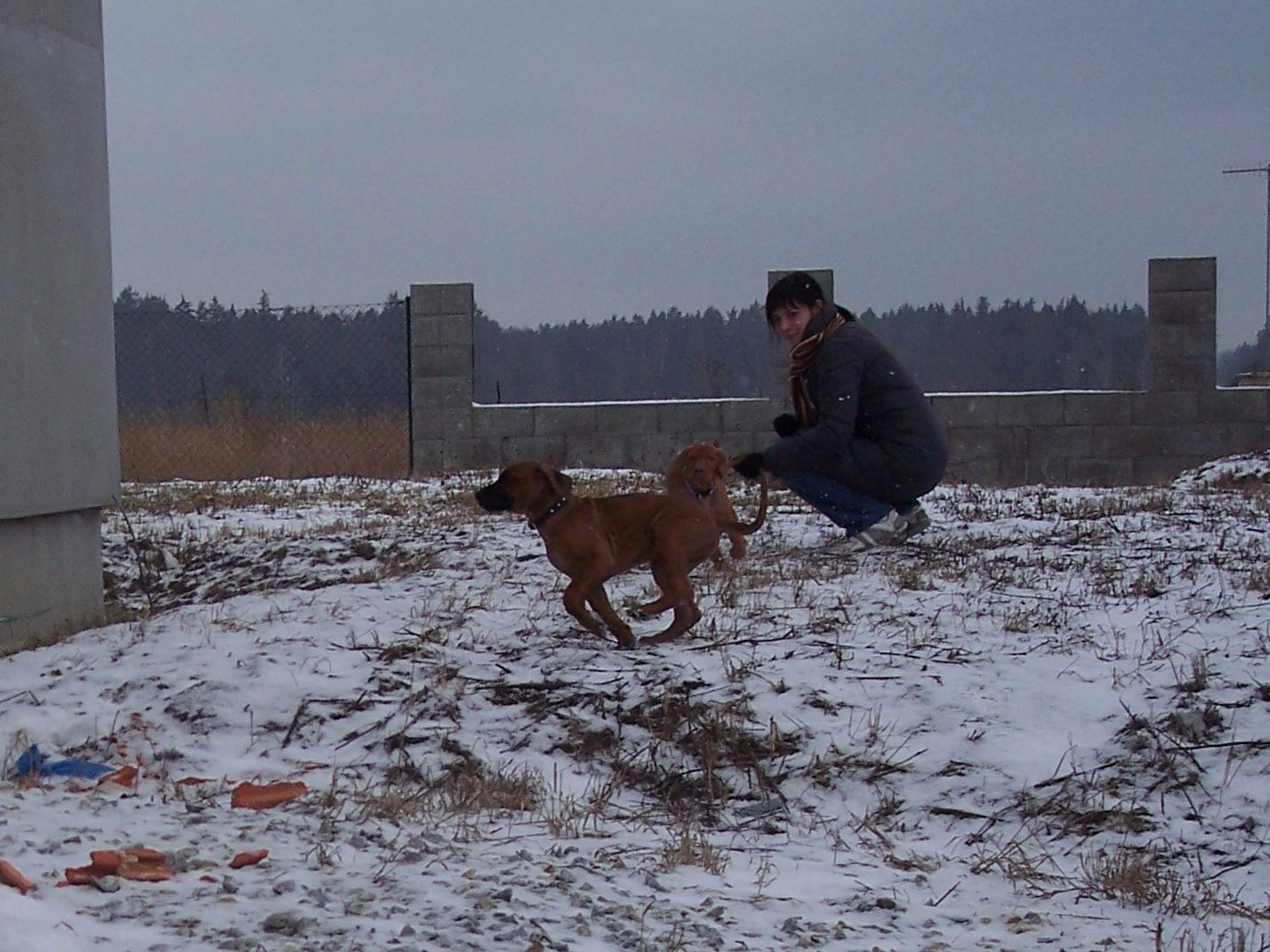 100_7581.JPG