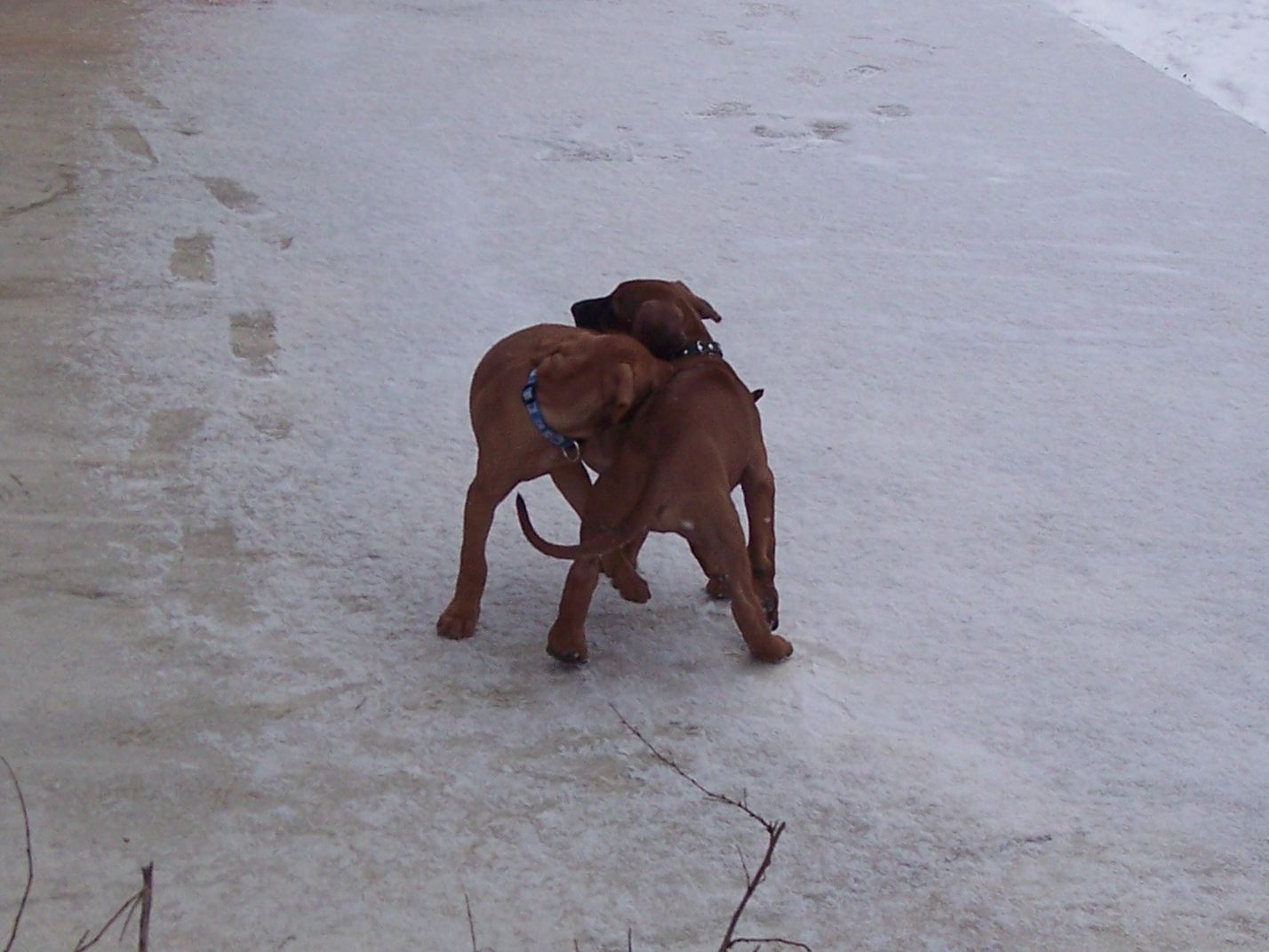 100_7587.JPG