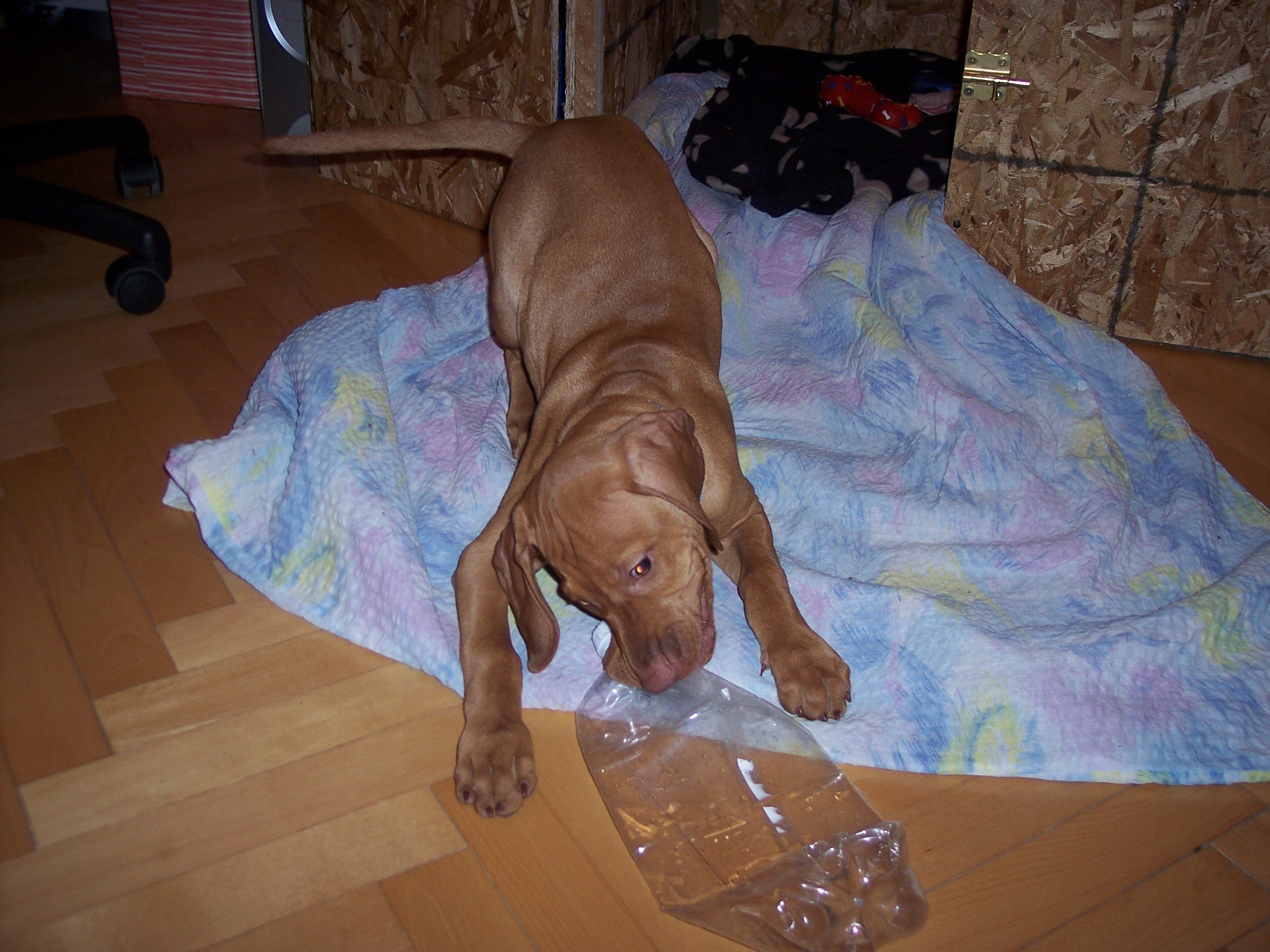 100_7628.JPG