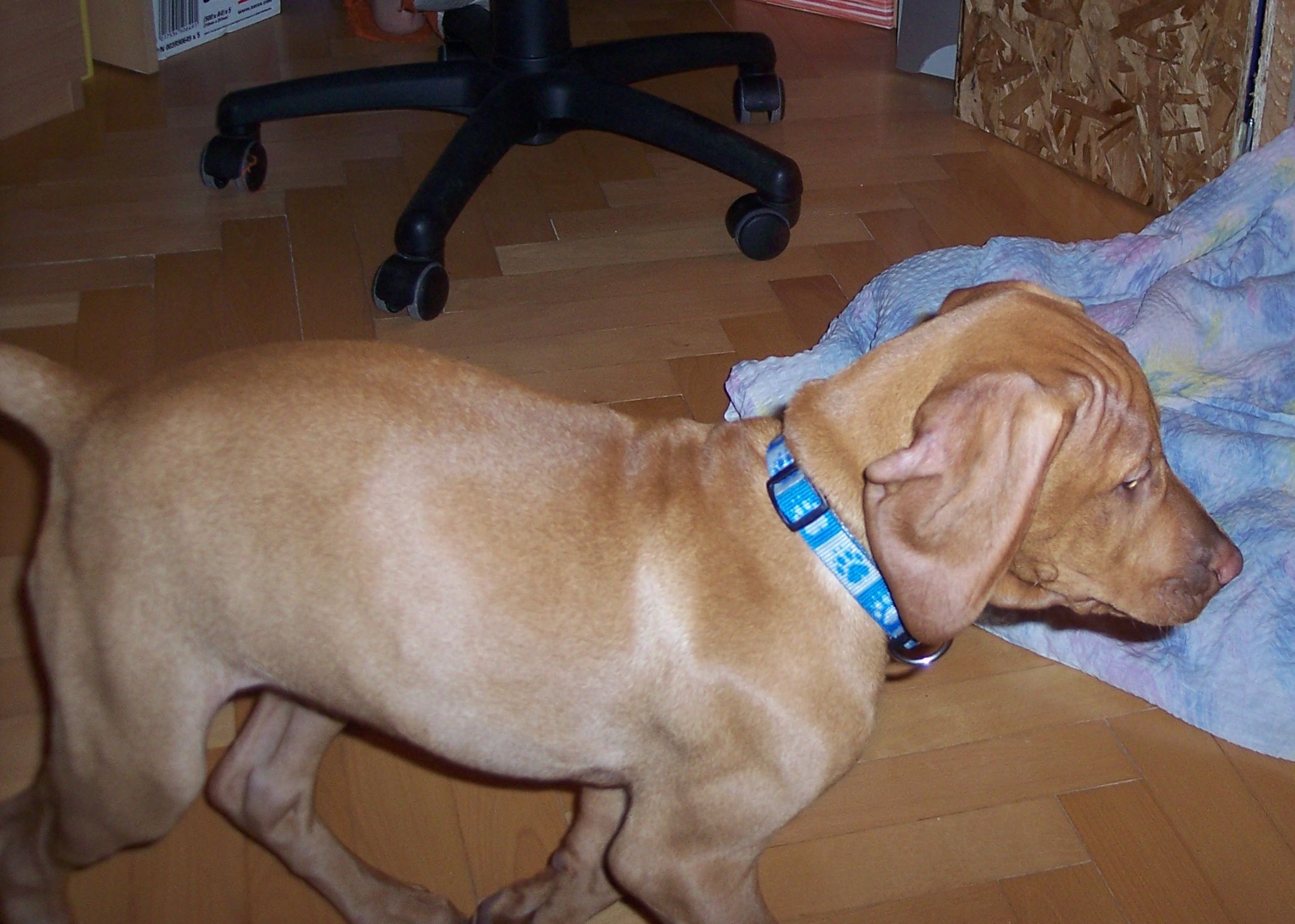 100_7629.JPG