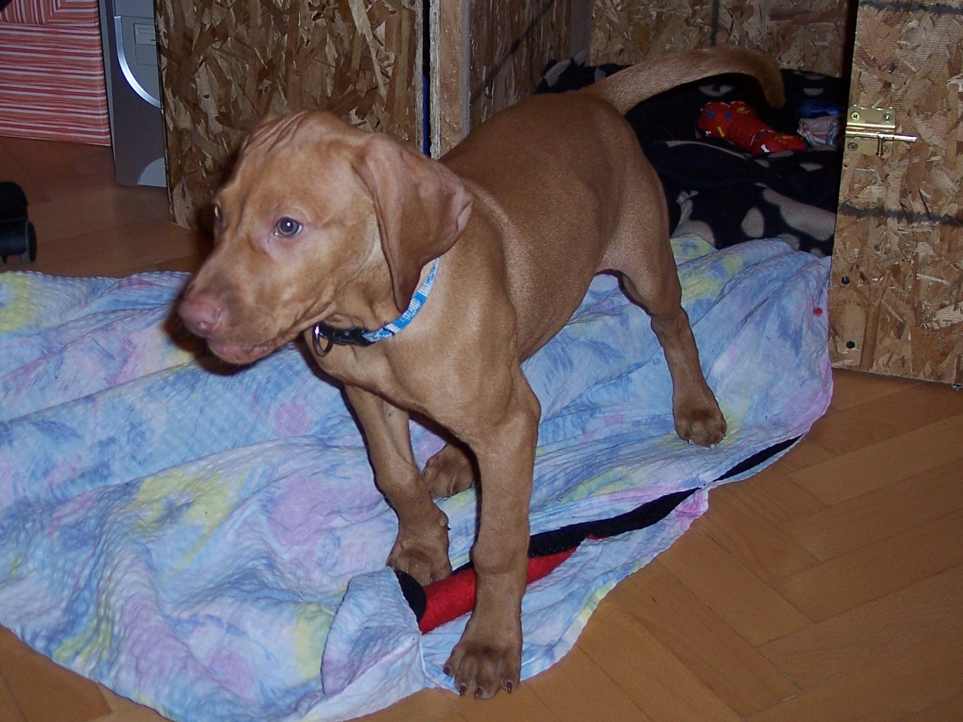 100_7631.JPG