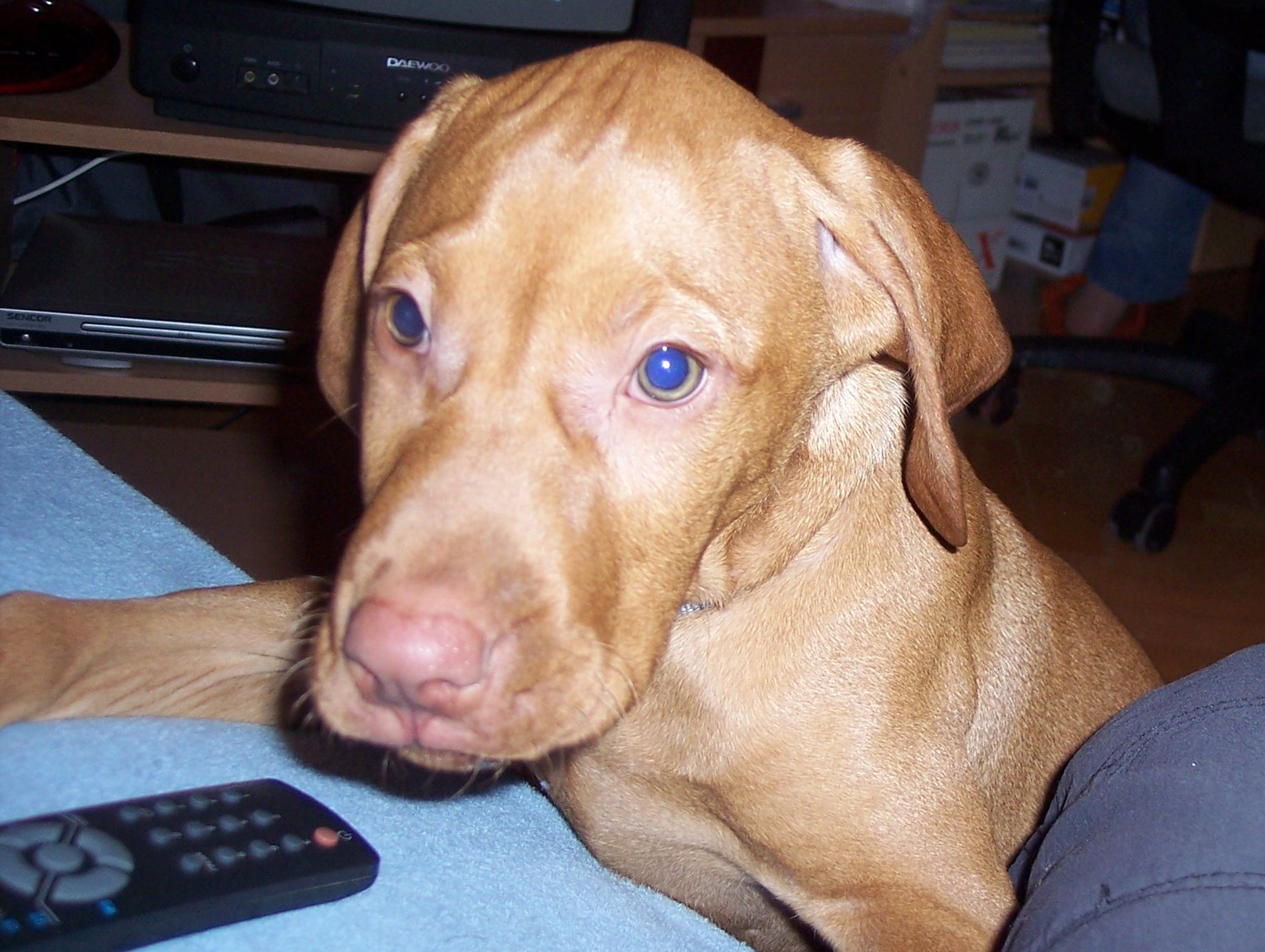100_7634.JPG