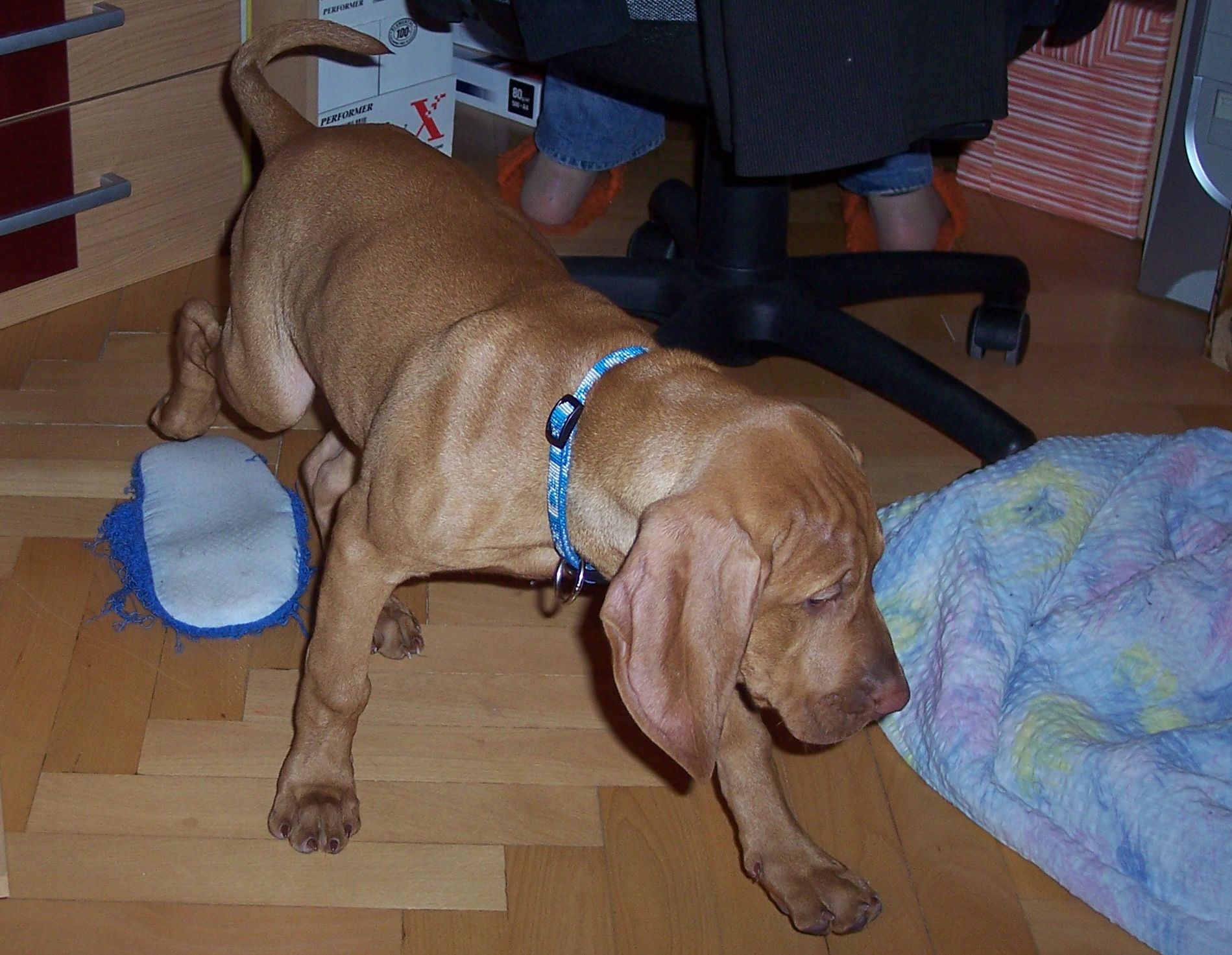 100_7636.JPG