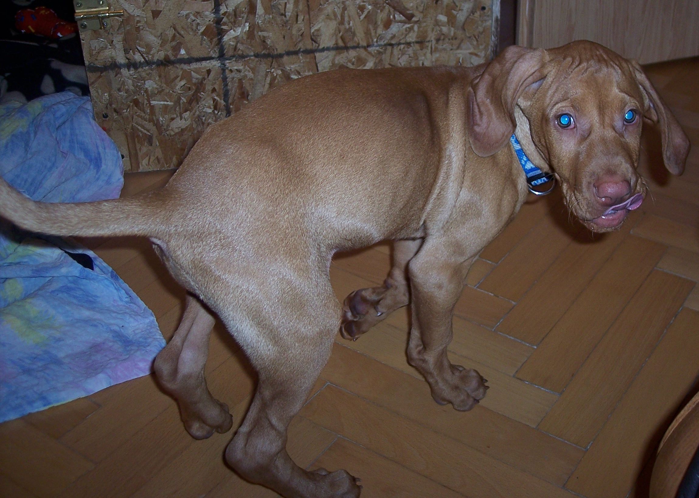 100_7638.JPG