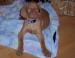 100_7646.JPG