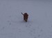 100_7653.JPG