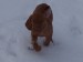 100_7656.JPG
