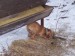 100_7657.JPG