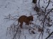 100_7658.JPG