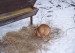 100_7659.JPG