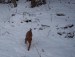 100_7660.JPG
