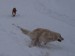 100_7675.JPG