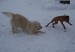 100_7677.JPG