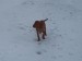 100_7679.JPG