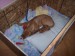100_7682.JPG