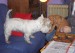100_7469.JPG
