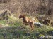 100_7717.JPG