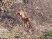 100_7719.JPG