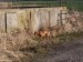 100_7720.JPG