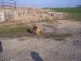 100_7721.JPG