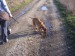 100_7725.JPG