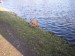 100_7732.JPG