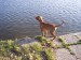 100_7737.JPG