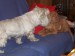 100_7473.JPG
