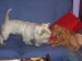 100_7474.JPG