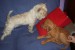 100_7475.JPG